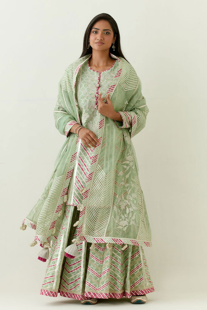 Aleena Short Kurta & Sharara