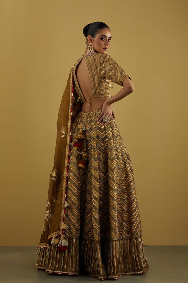 Sitara Lehenga with Blouse and Dupatta