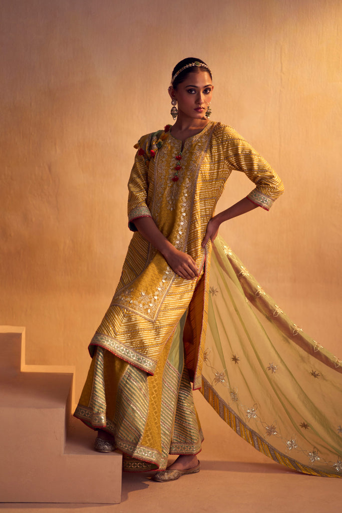 Gulrang Long Kurta & Sharara