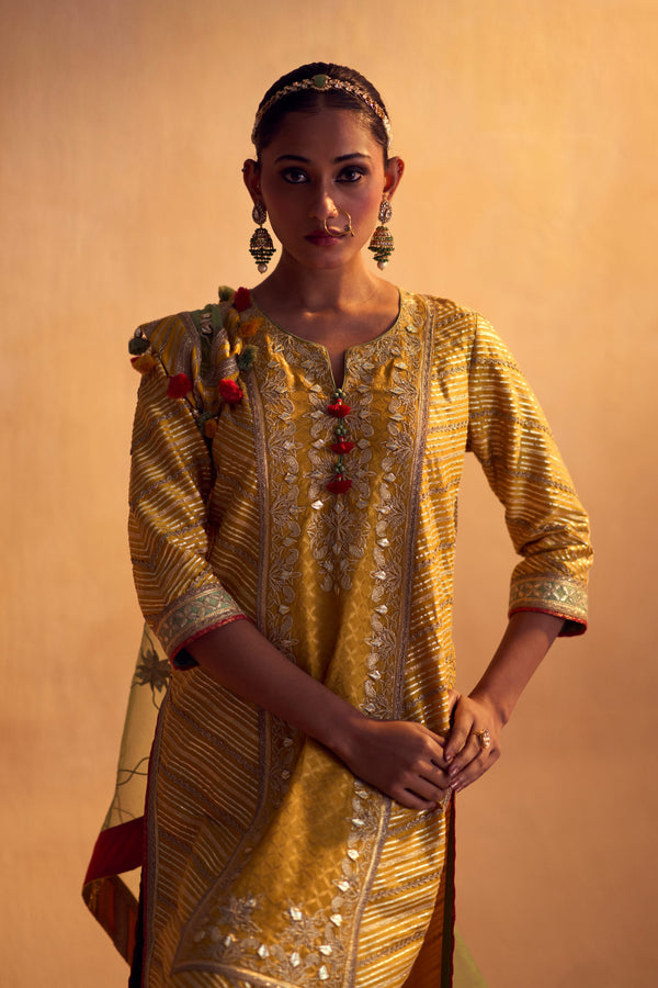 Gulrang Long Kurta & Sharara