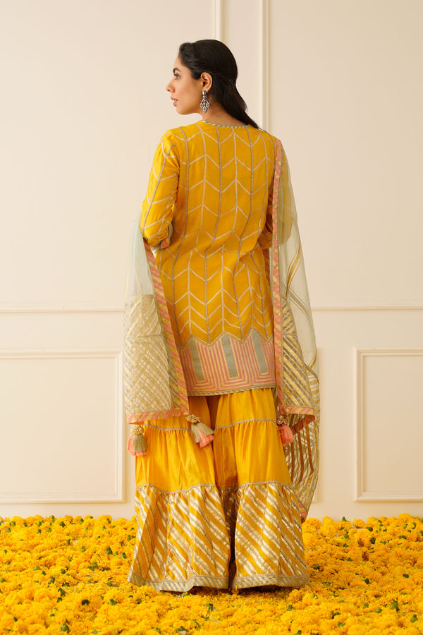 Colourblock Short Kurta & Sharara