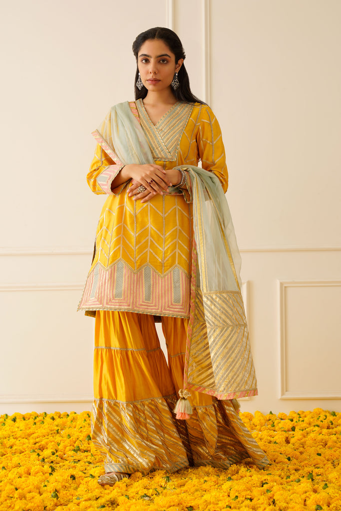 Colourblock Short Kurta & Sharara