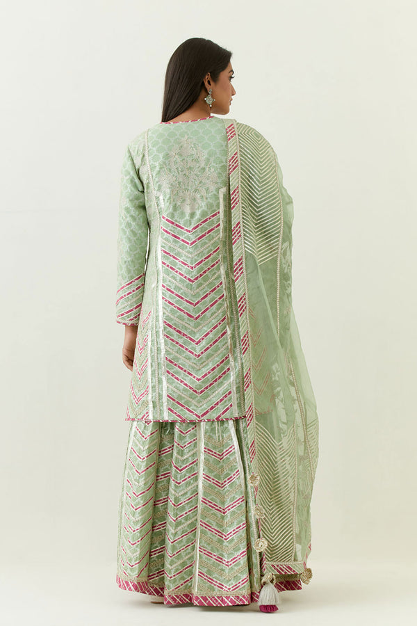 Aleena Short Kurta & Sharara