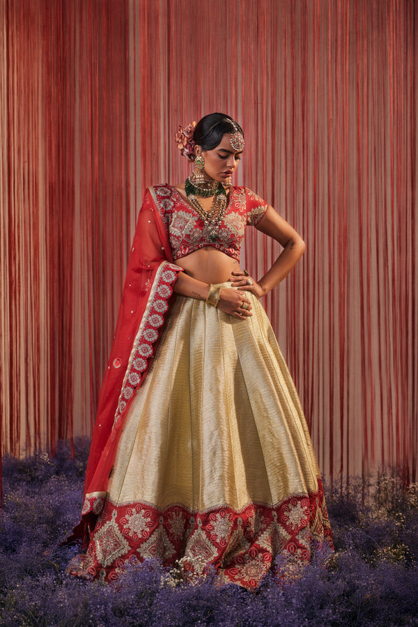 Turkish Lehenga with Blouse & Dupatta